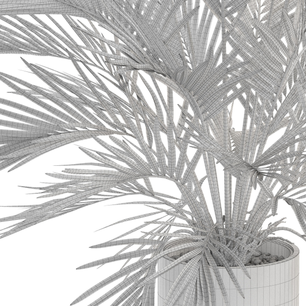 Plants collection 988