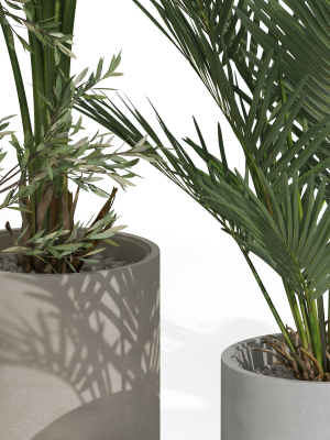 plants-collection-989-3d-model-40004bc17f