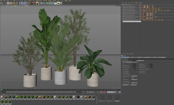 Plants collection 989