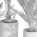 Plants collection 989
