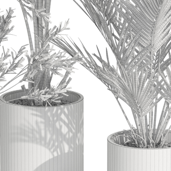 Plants collection 989