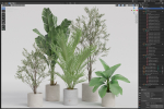 Plants collection 989