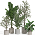Plants collection 989
