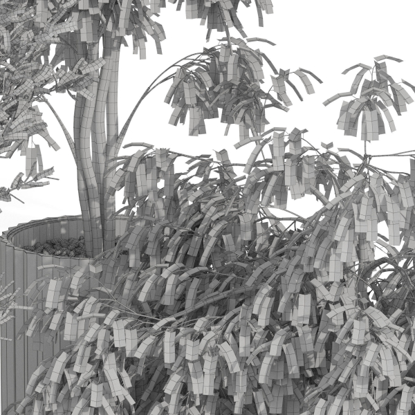 Plants collection 990