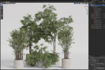 Plants collection 990