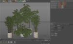Plants collection 990