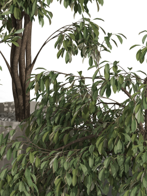 plants-collection-990-3d-model-be59dedb48