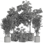 Plants collection 990