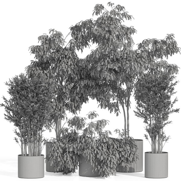 Plants collection 990