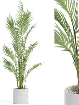 Plants collection 991