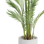 Plants collection 991