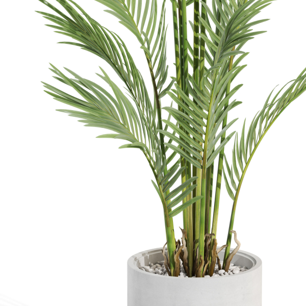 Plants collection 991