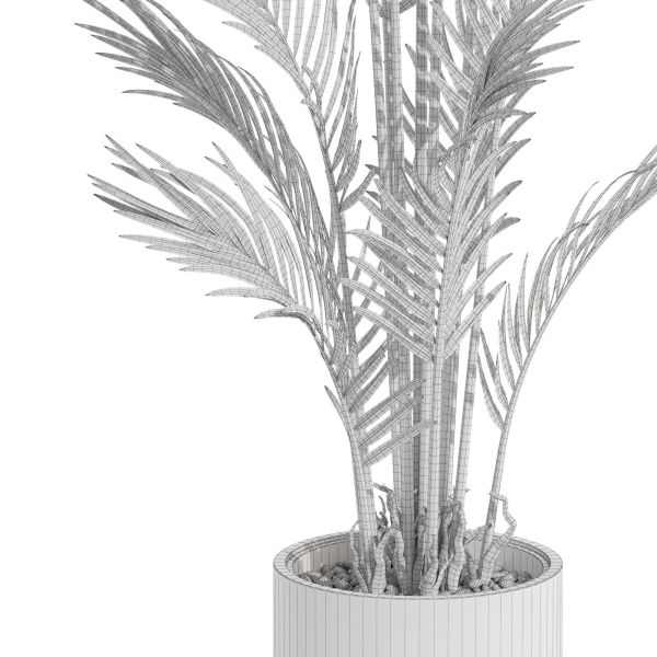 Plants collection 991