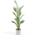 Plants collection 991