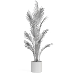 Plants collection 991