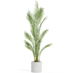 Plants collection 991