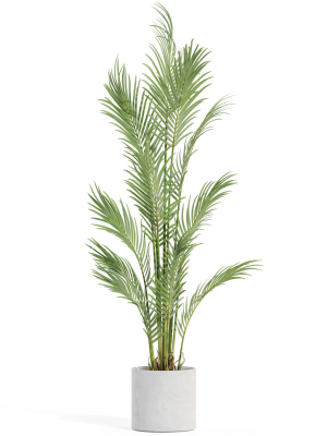 plants-collection-991-3d-model-dd9f164e3c
