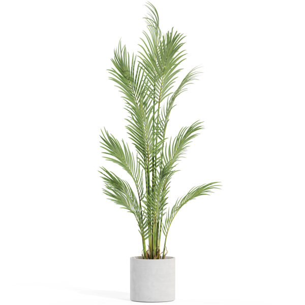 Plants collection 991