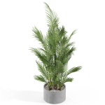Plants collection 992