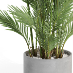 Plants collection 992