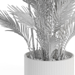 Plants collection 992