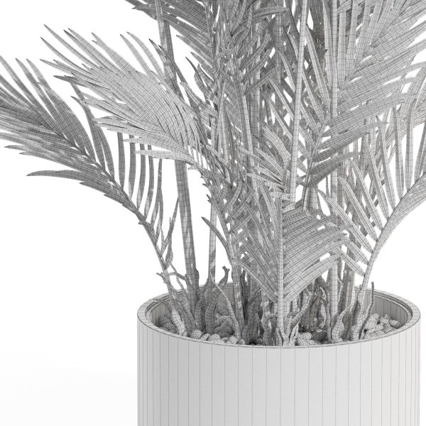 Plants collection 992
