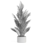 Plants collection 992