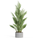 Plants collection 992