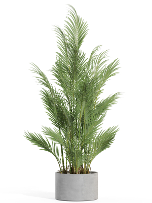 plants-collection-992-3d-model-c114687521