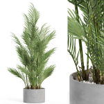 Plants collection 992