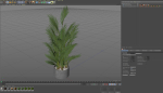 Plants collection 992