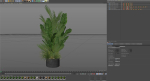 Plants collection 993