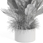 Plants collection 993