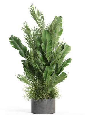 plants-collection-993-3d-model-926c9b6b94