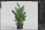 Plants collection 993