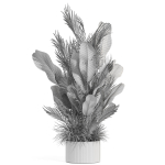 Plants collection 993