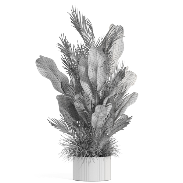 Plants collection 993