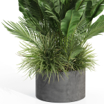Plants collection 993