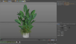 Plants collection 994