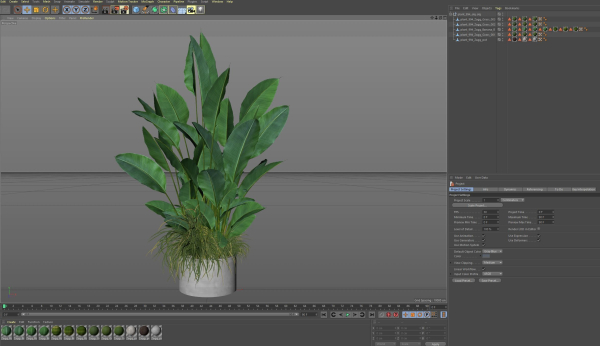 Plants collection 994