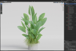 Plants collection 994