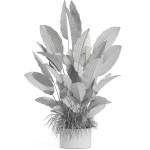 Plants collection 994