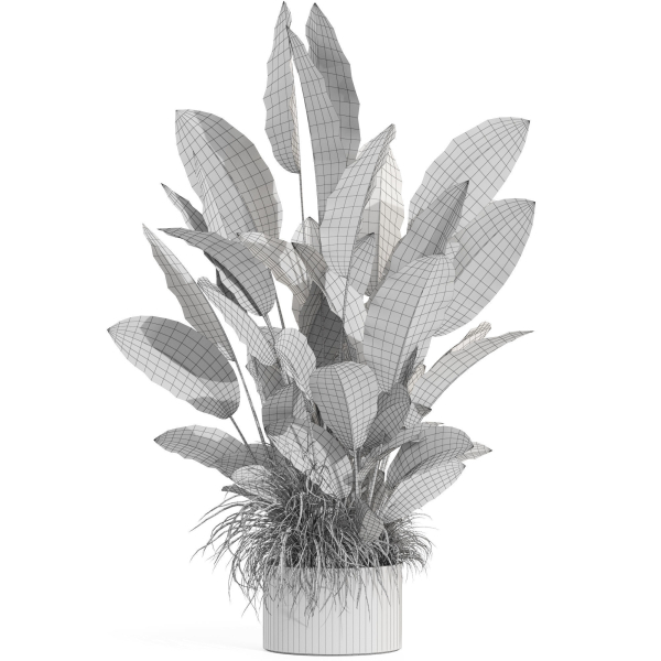 Plants collection 994