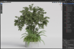 Plants collection 995
