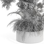 Plants collection 995