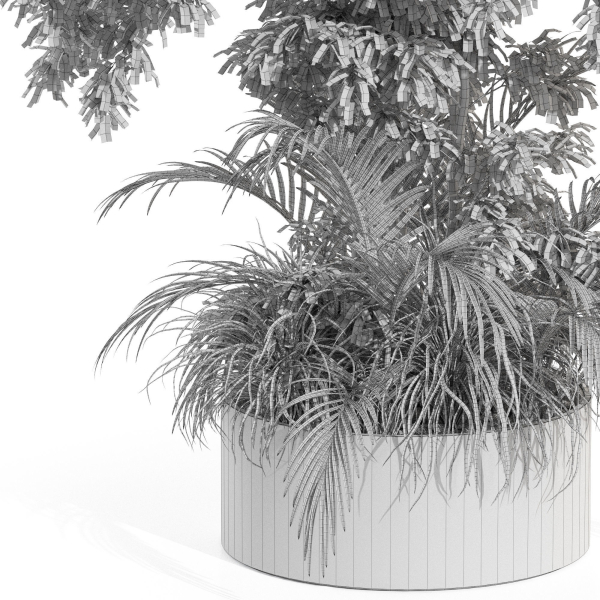 Plants collection 995