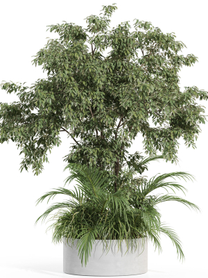 plants-collection-995-3d-model-6d40254dee
