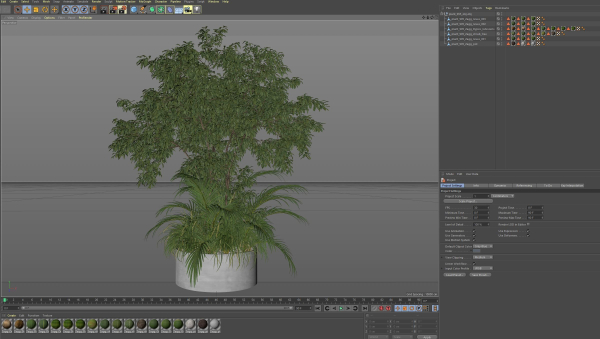 Plants collection 995