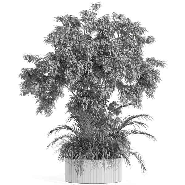 Plants collection 995