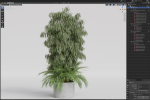 Plants collection 996